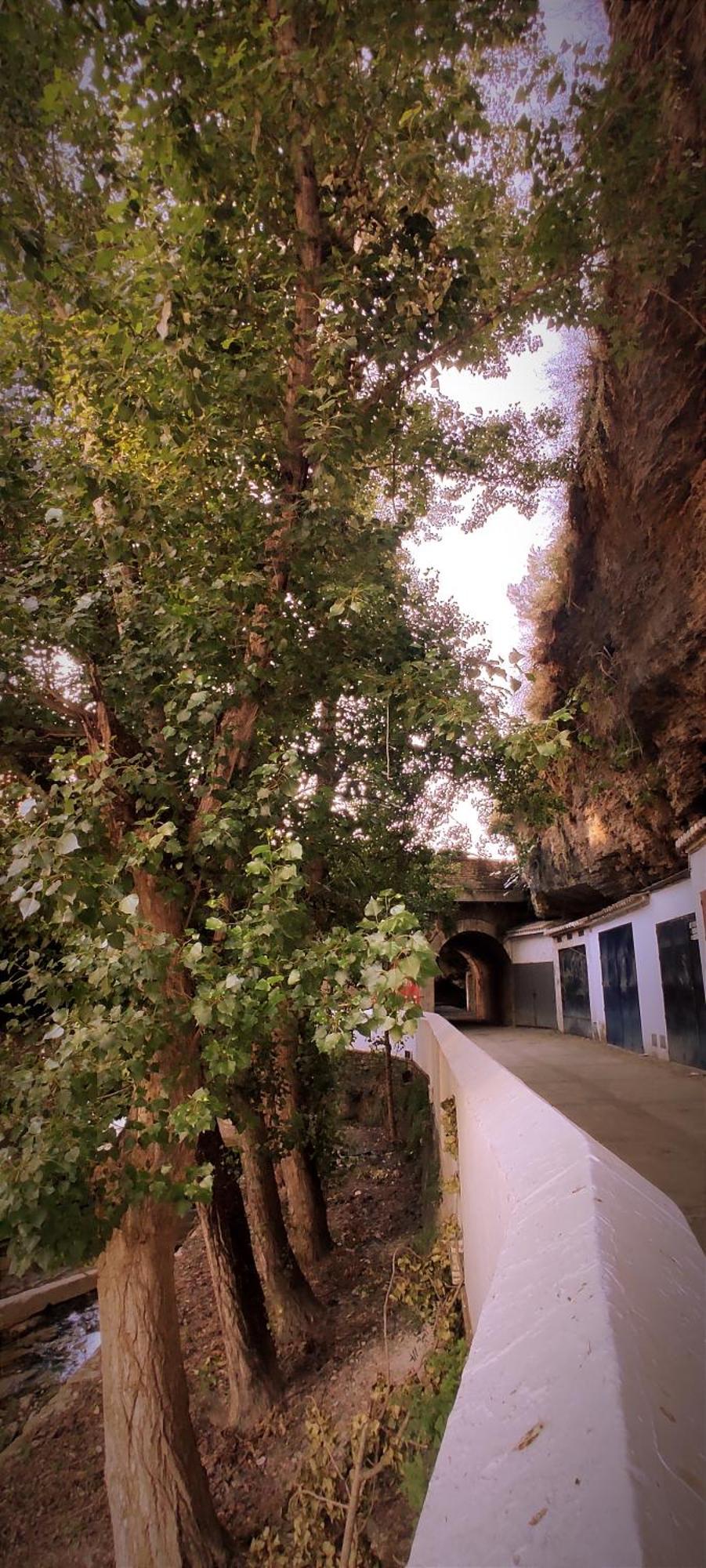Hébergement de vacances Casa Cueva Chicas Del Puente *
